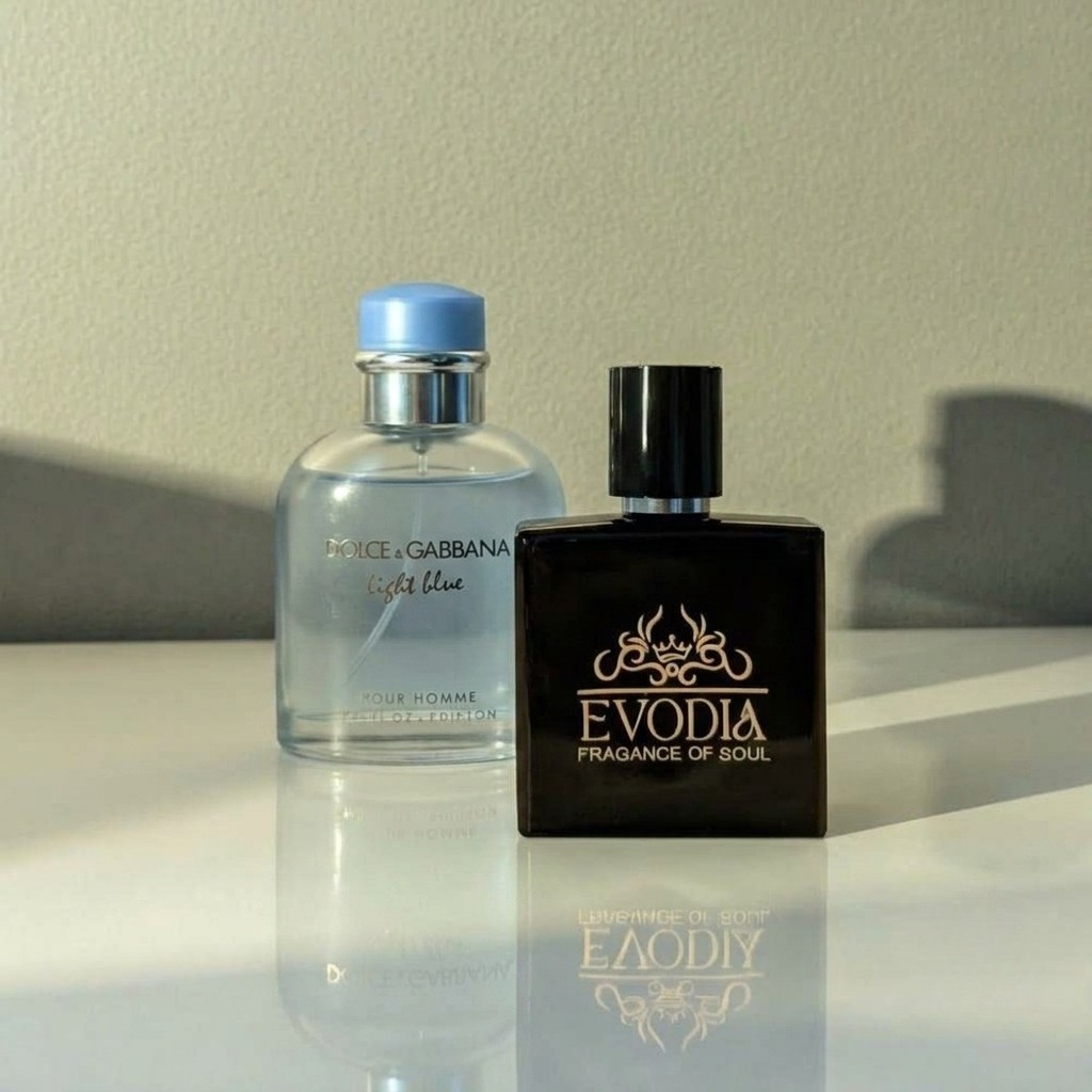 Evodia Light Blue Men